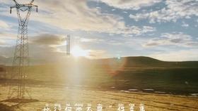 喵星人不愧是液体的，完全可以用一滩、一杯、一碗来形容它们！
