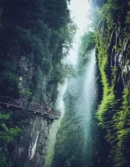 春雨直播app